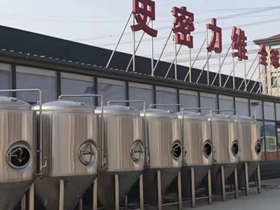 巴东精酿啤酒设备厂—如何判断精酿啤酒设备的密封件需要更换？